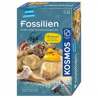 Kosmos Fossilien