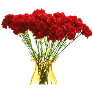 Rikyo 50cm rot Blumensträuße,10 Stängel-Nelken, kein Verblassen künstliche Blumen, Seidenblüten, künstliche Blumen für Hochzeit, Party,Zuhause, Büro, Restaurant, Tischdekoration, Dekoration