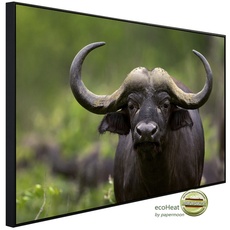Bild von Infrarotheizung Afrikanischer Büffel«, Matt-Effekt - bunt