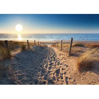 Deco-Panel REINDERS "Dünenweg zum Meer", blau (farbe bild(er): blau, natur), B:100cm H:140cm, Hartfaserplatte, MDF, Bilder, Deco-Panel