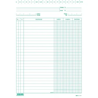 EDIPRO - E3419VE - 100 Lade-/Entladungs-/Existenzkarten grün f.to 17 x 24