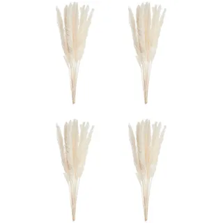 Butlers Mini-Pampasgras (6er Set) Flower Market , Beige , Naturmaterialen , 50 cm , Dekoration, Blumen & Blumentöpfe