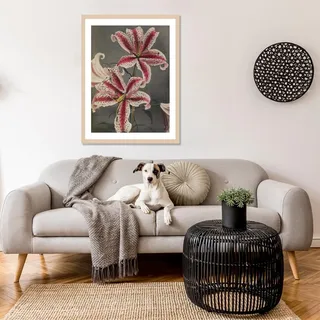 Queence Bild mit Rahmen »Edda« Blumen Blumenbilder Kunst Pflanzen Pflanzenbilder Premium Rahmenbild,