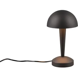 Trio Canaria Schwarz-Gold