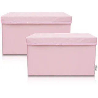 Lifeney Aufbewahrungsbox 37 x 25 x 21 cm 2-tlg. rosa