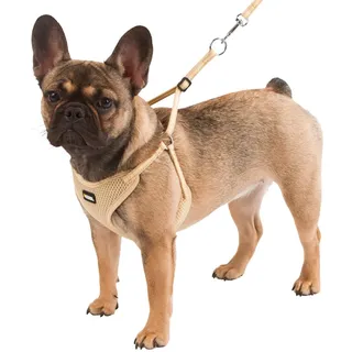 Kerbl Pet Welpengeschirr mit Leine, beige, 24-44 cm/10 mm