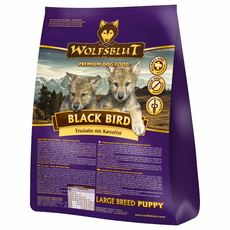 Bild Black Bird Puppy Large Breed 2 kg