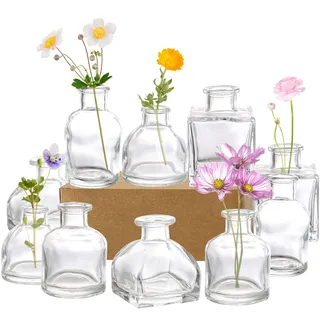 Hedume Glas-Blumenvasen-Set, klein, klare Glasvasen, dekorative rustikale Blumenvasen, Mini-Tisch-Blumenvase für Heimdekoration, Tafelaufsätze, Veranstaltungen, Vintage-Look, 10er-Set