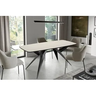 WFL GROUP Esszimmertisch 200 x 90 x 76 cm beige