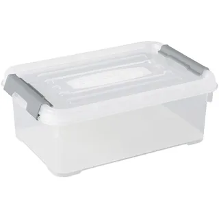 Curver Aufbewahrungsbox HANDY 29,4 x 19,4 x 11 cm 1-tlg. transparent, silber