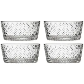 Iittala Tundra Schalen 4er Set 250 ml Glas klar Ø 10,4 cm, Design Oiva Toikka, Dessertschale Frühstücksschale spülmaschinengeeignet