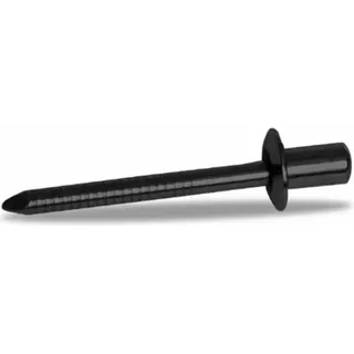 Akrapovic D4 8x12 Niete Silber Silber One Size