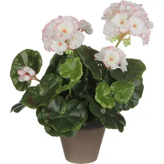 Mica Decorations PVC Geranienpflanze (11,5 x 33 cm) - Weiß