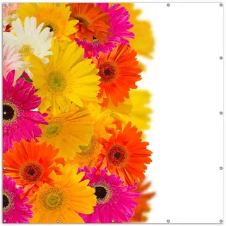 Wallario XXL Outdoor-Poster für Garten oder Balkon, Motiv Bunte Gerberas - pinke, gelbe, rote und weiße Blüten, in ca. 200 x 200 cm - Weiß