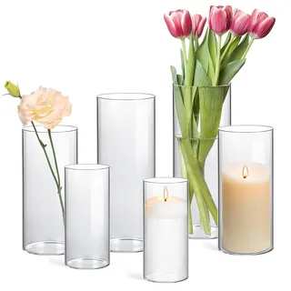 ComSaf Vase Glas, 6 Stück Glasvase, Kleine Vasen für Tischdeko, Glasvasen, Vase Groß Gross, Mini Vasen, Tulpenvase Glas Hoch, Glasvase Zylinder, Glaszylinder für Flower, Kerze, Hochzeit