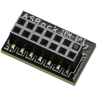 Asrock 90-MCA080-00UBNZ Trusted Platform Module (TPMs) SPI