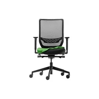 Trendoffice by Dauphin Sitzkissenbezug grün, 1 St.
