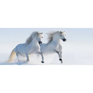 Tulup® Küchenrückwand Spritzschutz aus Glas -125x50 -Spritzschutz auf gehärtetes Glas Deko Tiere Zwei Pferde Schnee