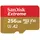 Extreme 256 GB microSDXC UHS-I Klasse 10