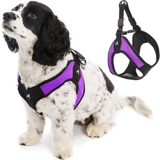 Gooby - Escape Free Easy Fit Harness, Small Dog Step-In Harness for Dogs That Like to Escape Their Harness, Purple, Small