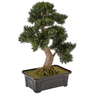 Nearly Natural 4103 61 cm Zedern-Bonsai-Seidenpflanze, Grün