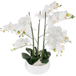 Atmosphera Orchid Jj1683 Blumentopf - White - One Size