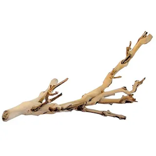 Exo Terra Ast - Brown - 60 cm