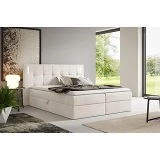 Boxspringbett Schlafzimmerbett MARTIM PREMIUM 200x200cm Stoff Fresh Altweiß - Weiß