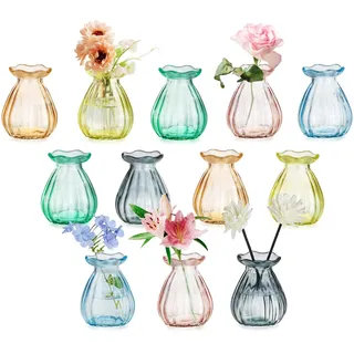 Glasseam Glas Kleine Vasen für Tischdeko: 12 Stück Bunte Glasvase Klein für Home Wohnzimmer Hochzeit Party Tisch Dekoration - Aesthetic Vase Deko Kleinen Blumenvasen Modern für Blumen Bud Pflanzen
