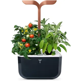 Véritable Indoor-Garten Exky® SMART (Copper) Kompakter und autonomer intelligenter Garten mit Adapt-Light-Technologie - Mit 2 Lingots®