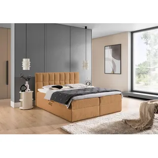 Boxspringbett Schlafzimmerbett DOMINGA PREMIUM 200x220cm Stoff Coral Apricot - Orange