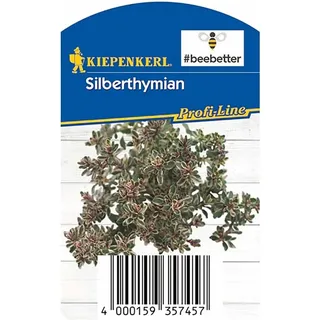 Kiepenkerl Silberthymian beebetter Topf-Ø ca. 12 cm