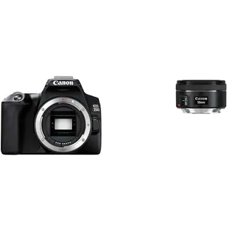 Canon EOS 250D Digitale Spiegelreflexkamera Gehäuse Body & EF 50mm F1.8 STM Objektiv (58mm Filtergewinde) schwarz