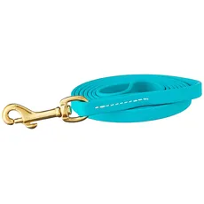 J&J Dog Supplies Biothane Hundeleine, 1,27 cm breit, 1,8 m lang, Blaugrün