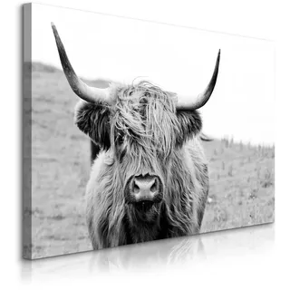 Muralo Leinwandbild Für Schlafzimmer Schottische Kuh Tier Natur 3D 120/80 cm , Schwarz, Weiß, Grau , Textil , Tiere , Rechteckig , 120x80 cm , Bilder & Rahmen, Bilder, Leinwandbilder