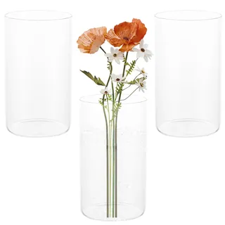 SHUESS 3er Set Glasvase Zylinder, 15x8,5cm Blumenvase Glas, Glasvasen Hitzebeständige Durchsichtige Vase Glas, Zylindervasen Glaszylinder mit Boden für Kerzen, Pampasgras, Blumen, Hochzeit & Tischdeko