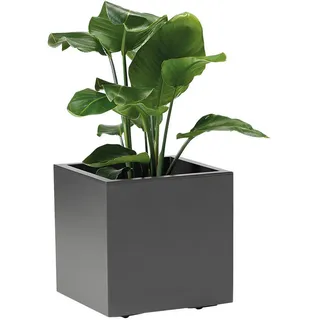 Blumenkasten , Anthrazit , Kunststoff , 39.5x39.5x39.5 cm , stabil, wetterfest, wetterbeständig, UV-beständig , Dekoration, Blumen & Blumentöpfe, Übertöpfe