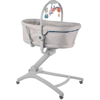 Chicco Baby Hug 4 in 1 Glacial