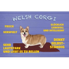 Blechschild 20x30 cm - Welsh Corgi Hund frech verspielt