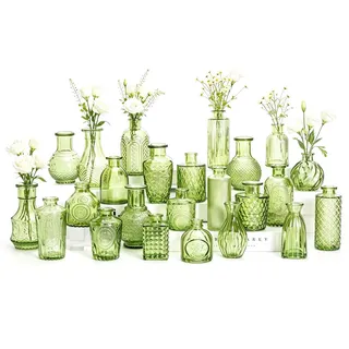 Kleine Glasvasen Set von 24, für Tischdekoration, Hochzeit, Empfang, Zuhause, Vintage-Flaschen, Transparent, Dekorative Glasvasen mit Deckeln (24, Grün)