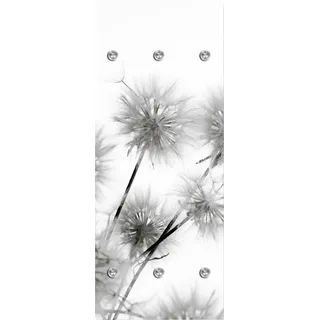 Queence Garderobenleiste Pusteblumen Schwarz/Weiß