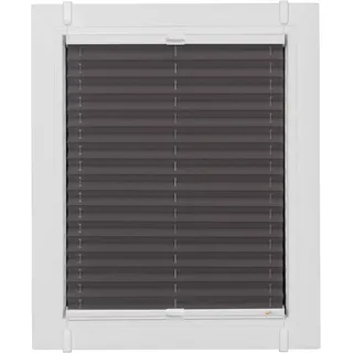 Plissee SUNLINES "One Size Style Crepe", grau (anthrazit, weiß, weiß), B:120cm H:130cm, Obermaterial: 85% Polyester, 15% sonstige Fasern, Plissees, Plissee, Zubehörfarbe weiß, zum Klemmen