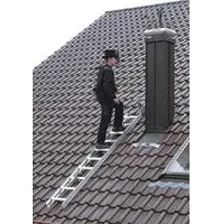 Günzburger Dachleiter 7 Stufen