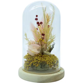 HEITMANN DECO Trockenblumen in Glasglocke, Natur/gelb/rosa/orange, 12,5x12,5x20 cm