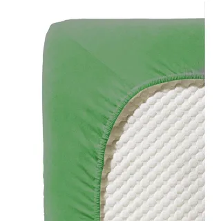 Jenny C 001115 Single-Jersey 180 x 200 - 200 x 200 cm grasgrün