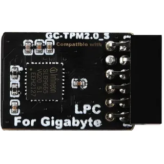 NewHail TPM2.0 Modul LPC 12Pin Modul mit Infineon SLB9665 für Gigabyte Motherboard kompatibel mit GC-TPM2.0_S