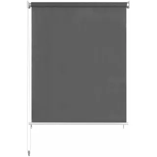 vidaXL Außenrollo 100 x 140 cm Anthrazit - Grau