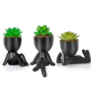 Dremisland 3PCS Künstliche Sukkulenten Mit Kreativen Schwarzen Villain Art-geformte Töpfe Frühling Mini Pflanzen Gefälschte Sukkulenten Dekor Für Indoor Büro Wohnzimmer Tisch Schreibtisch (3 STÜCK)