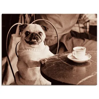 Artland Wandbild »Kaffee Mops« Haustiere 1 Stk. tlg. als Leinwandbild, Poster, Wandaufkleber in verschied. Größen, beige