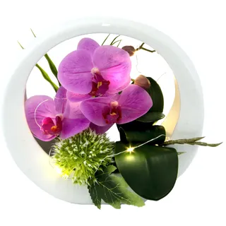 OTTO home "Orchidee", im Keramiktopf, mit LED-Beleuchtung,
